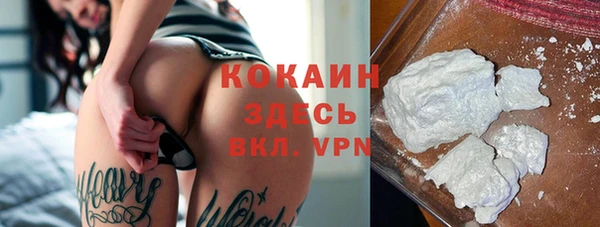 спайс Новодвинск