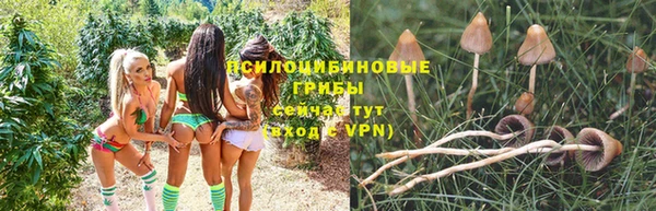 прущая мука Новокубанск