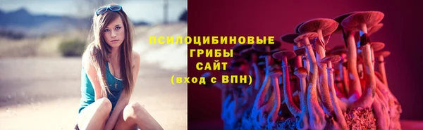 кокс Анива