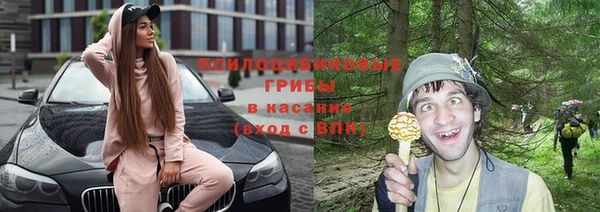 мескалин Новозыбков