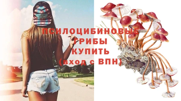 прущая мука Новокубанск